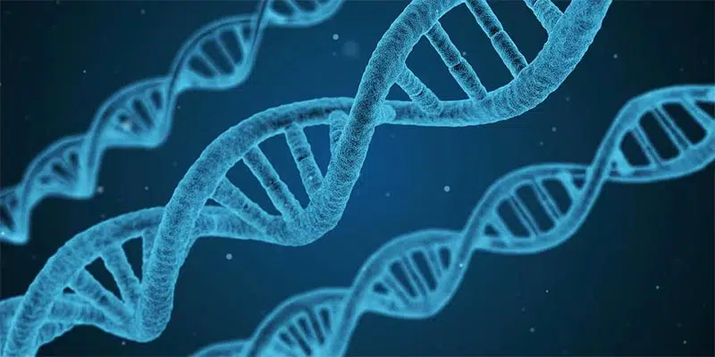 iGEM Concept Image
